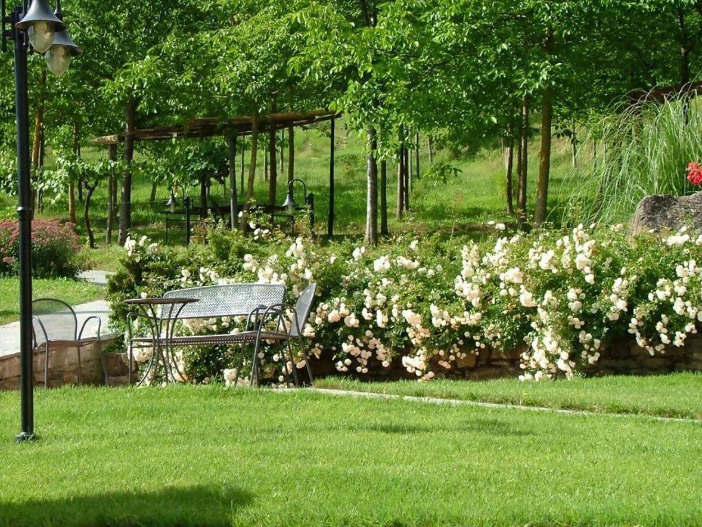 Agriturismo Podere La Casaccia 포피 외부 사진
